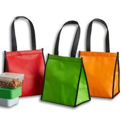 Bolsa Térmica Em Tnt 6 Litros Personalizada