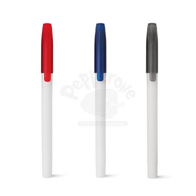 Caneta Plástica Personalizada